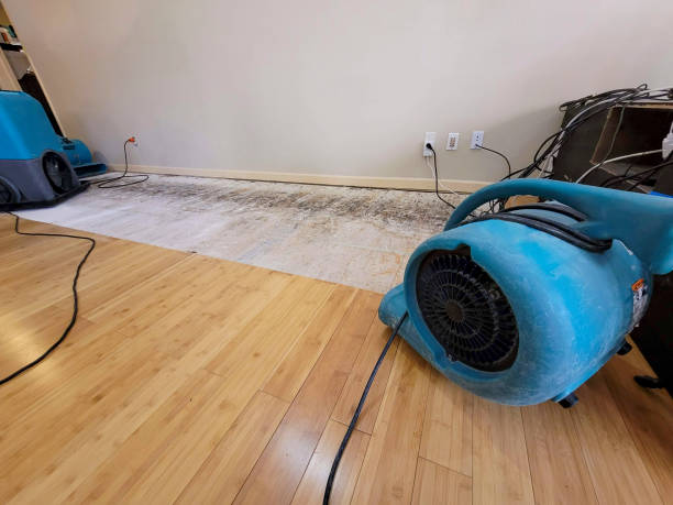 Reliable Basement Flood Cleanup contractor in Grove, OK by Hirex Water Damage