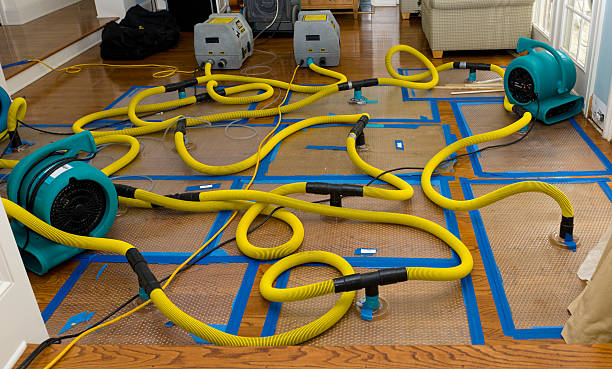 Professional Basement Flood Cleanup technician working in Grove, OK